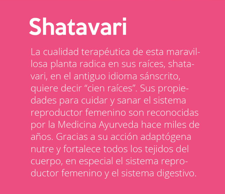 Shatavari en polvo orgánico 200g