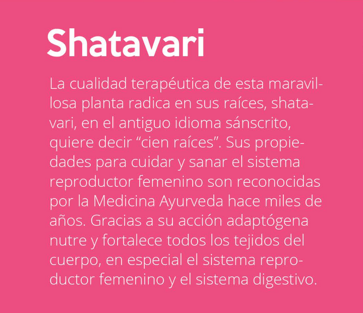 Shatavari en polvo orgánico 200g