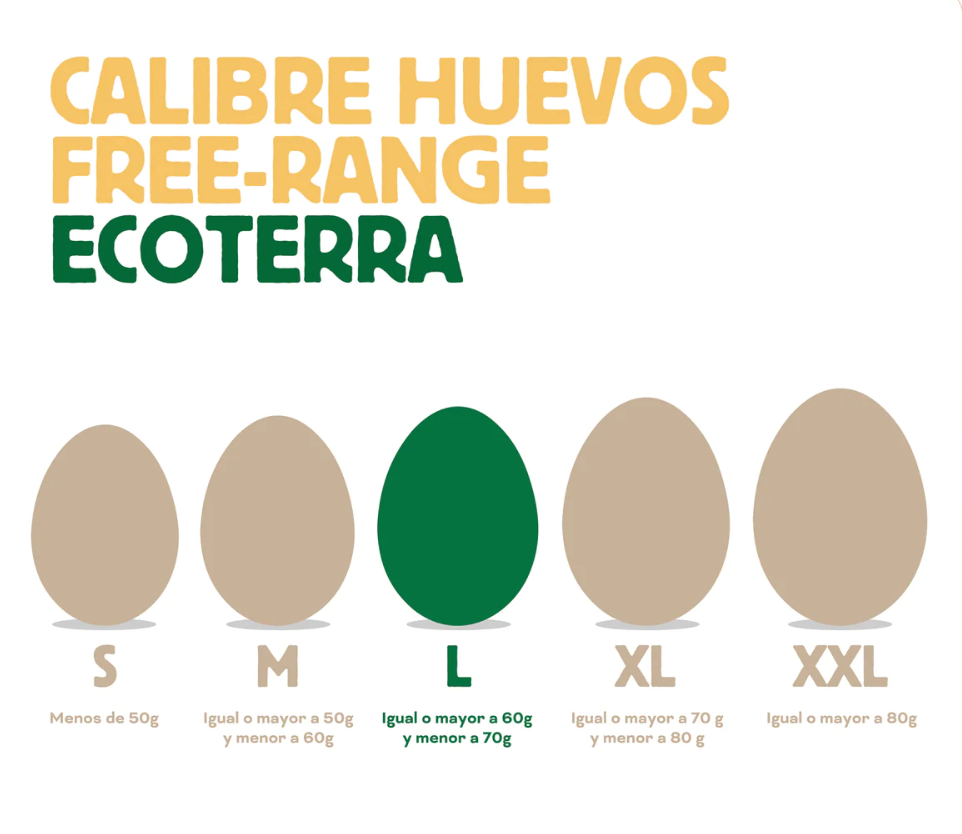 Ecoterra · Huevos color Gallinas libres 10 unid.