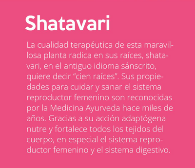 Shatavari en polvo orgánico 200g - Ayurvedic